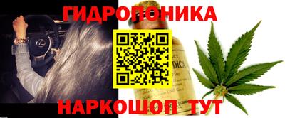 эйфоретик Бердск