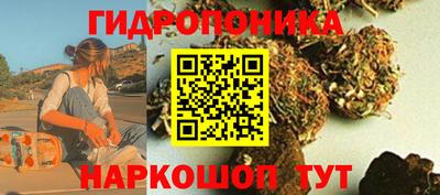 эйфоретик Бердск
